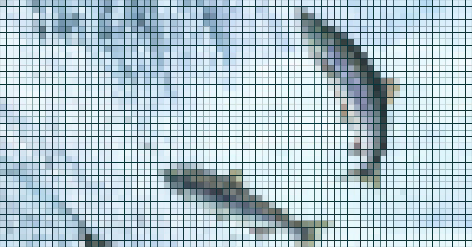How Molmo 2’s open release helped an MIT researcher rethink fish tracking