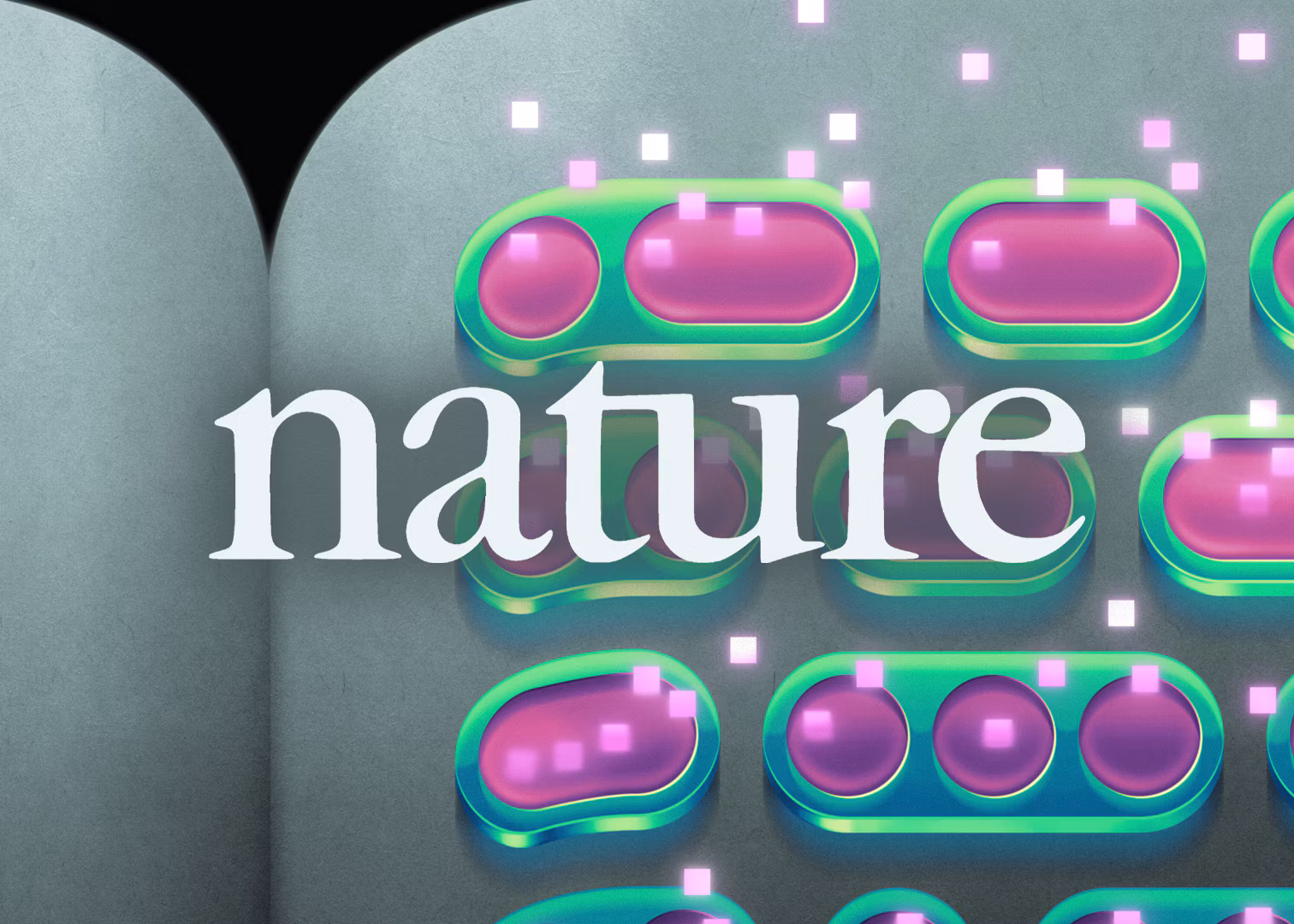 Now in Nature: Retrofitting language models to operate over bytes