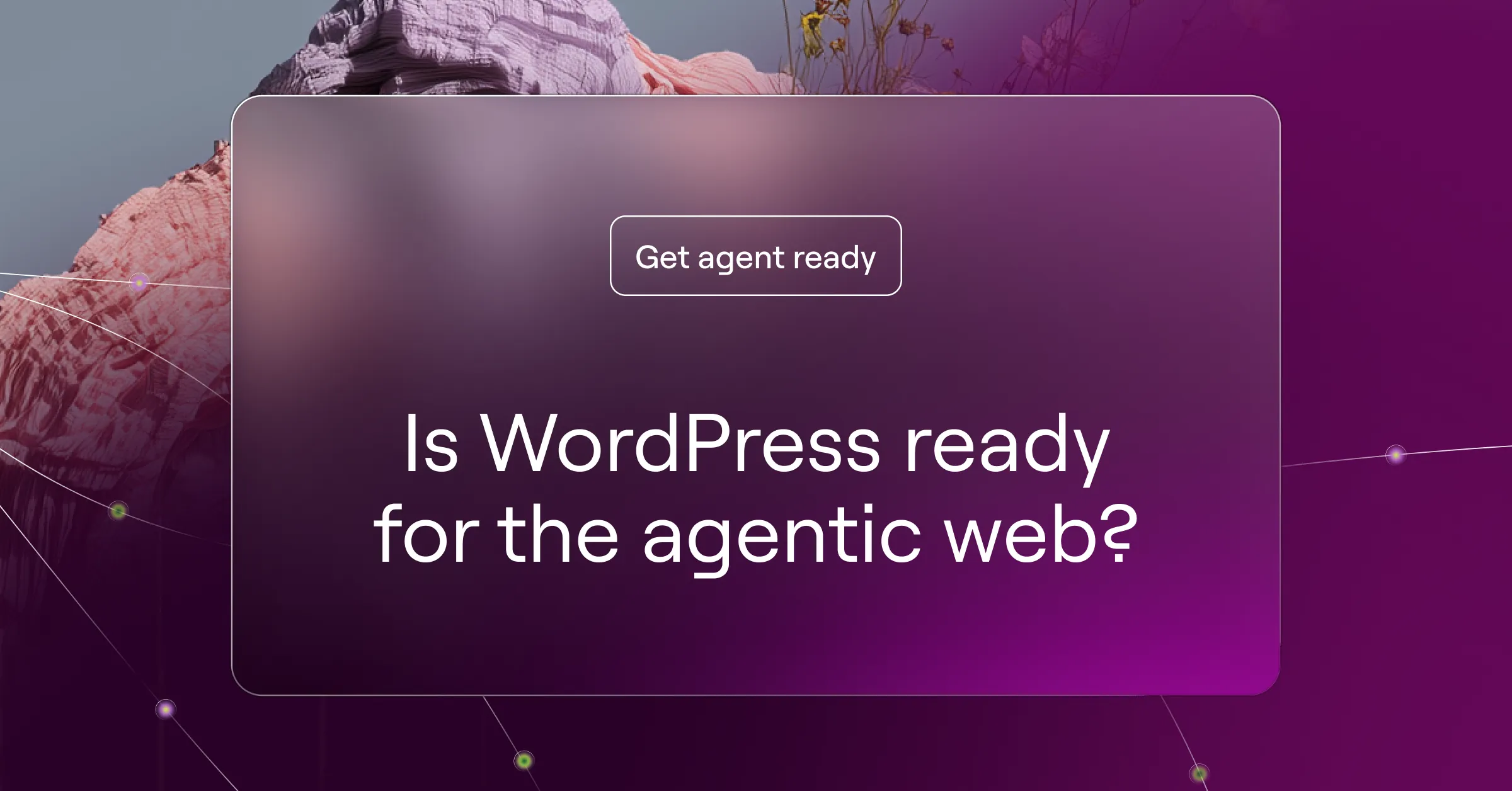 WordPress was born ready for the agentic web