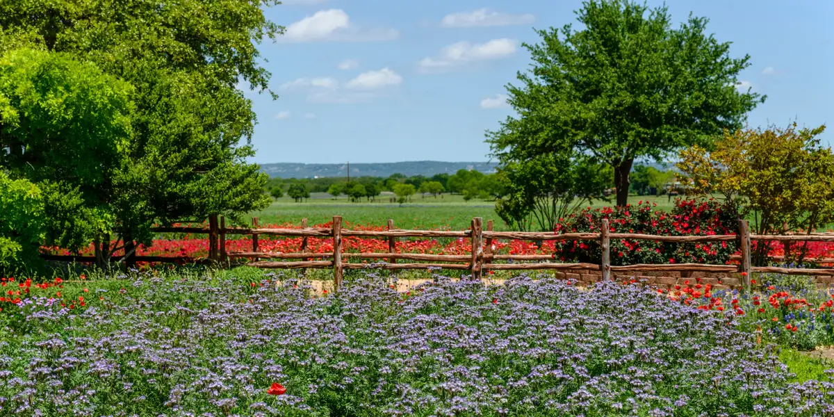 As a Texas local, I skip the crowds in Austin and head west to a charming nearby city with amazing wineries
