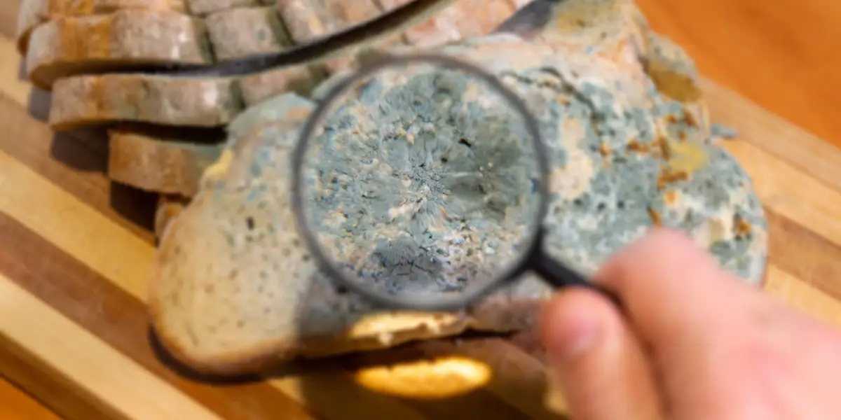AI worms and 'digital slime mold': Welcome to the next AI nightmare fuel