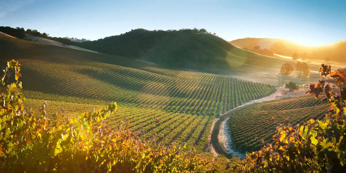 My favorite hidden gem in California has incredible food and wine — and it's more affordable than Napa Valley