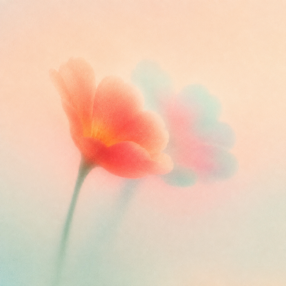 Why Does AI Give Different Answers About the Same Photo?