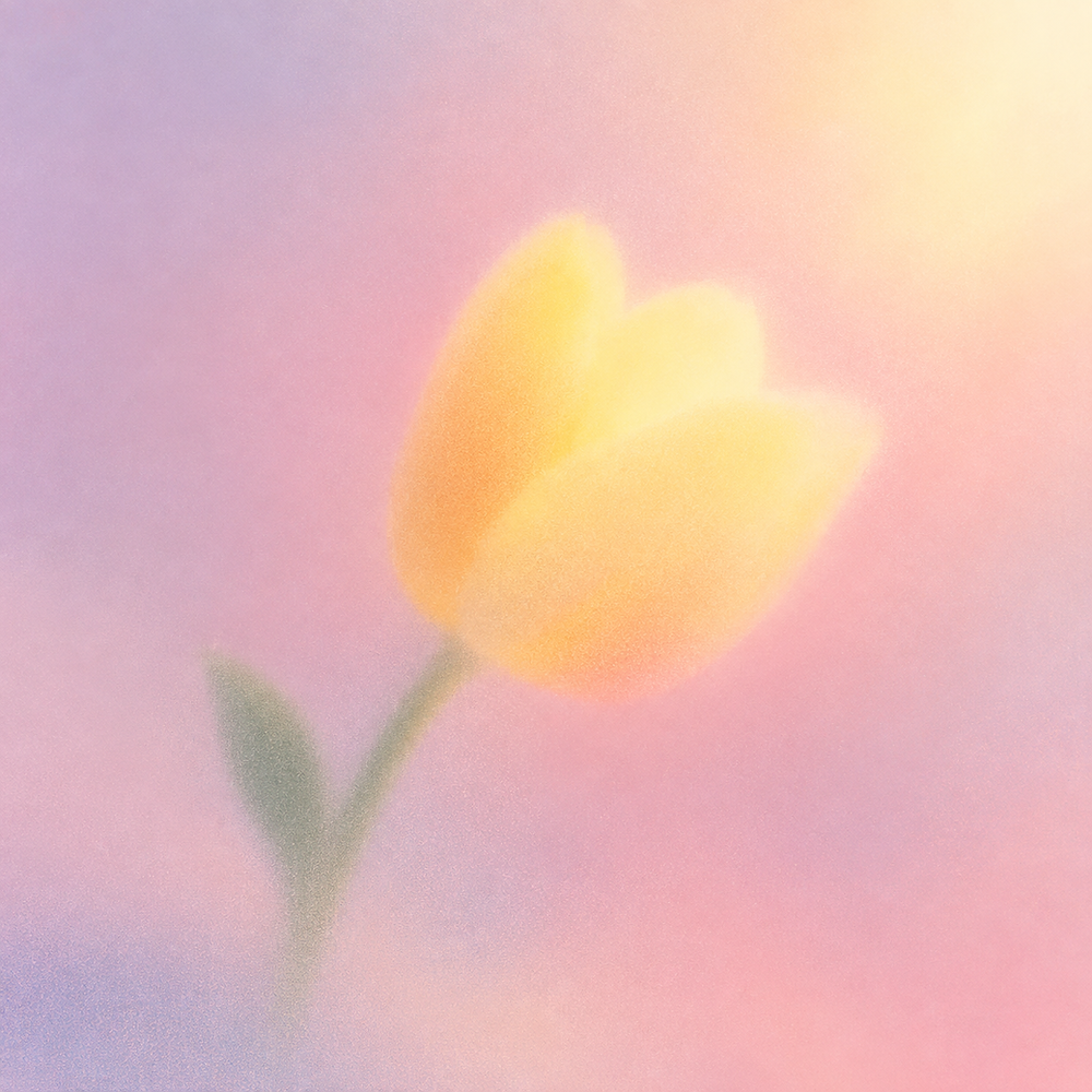 Should You Enhance a Photo Before Asking AI to Identify It?
