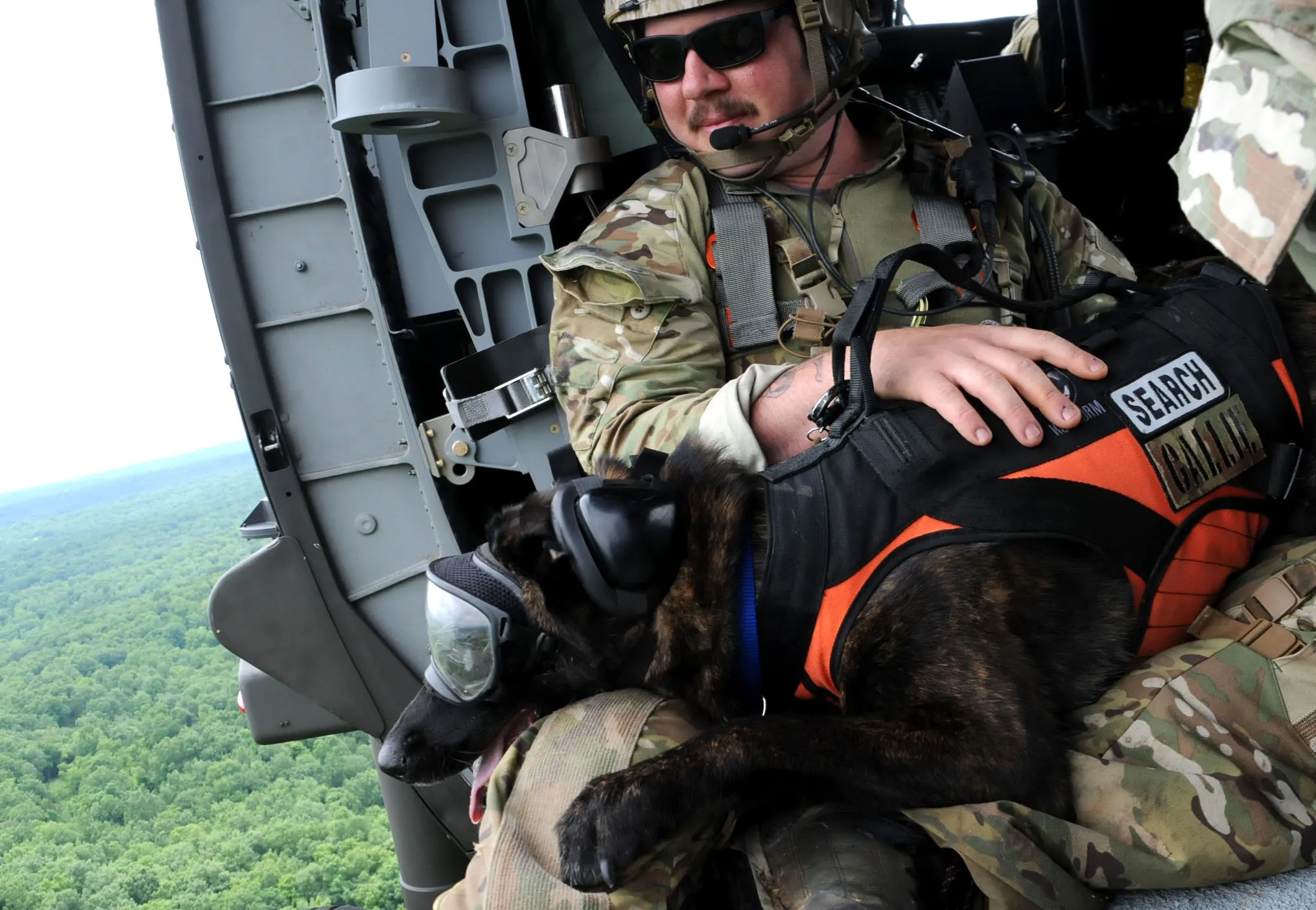 SAR Tracking Tools: How Technology Enhances Dog Performance