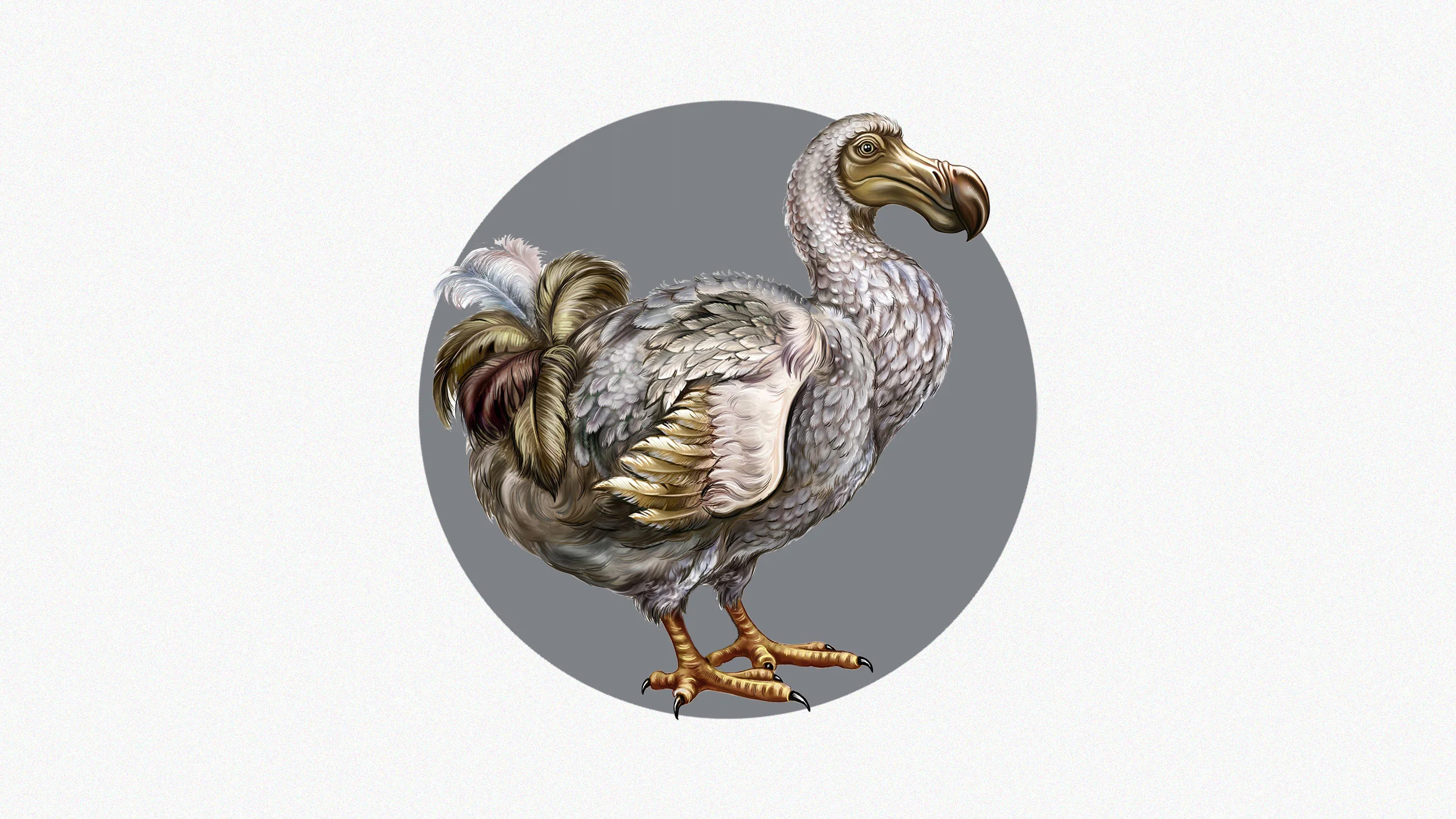 Colossal has take another big step toward bringing back the dodo
