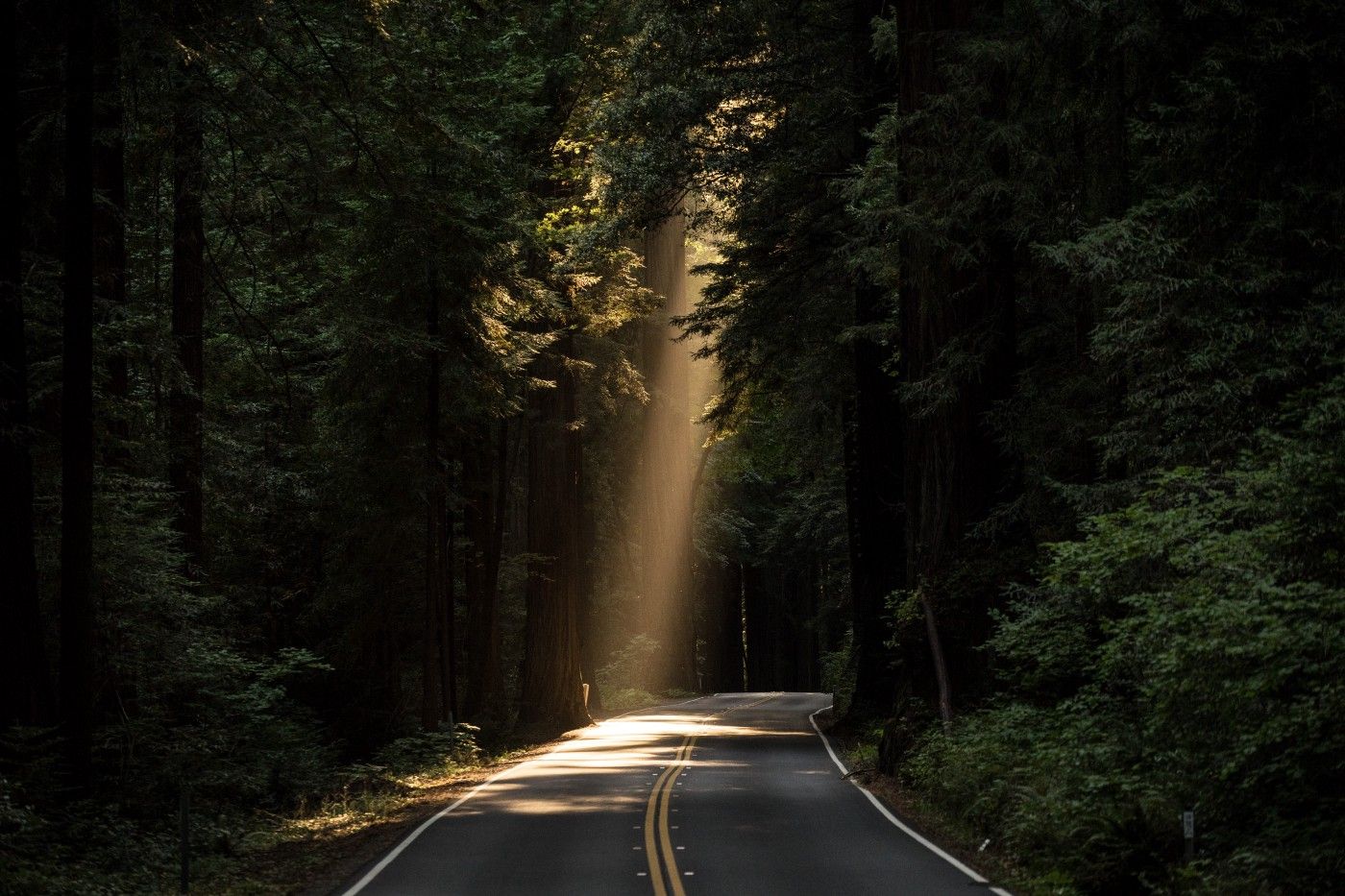 I Moved Abroad to Work for a Startup – and I Came Back with Nothing, and Everything.