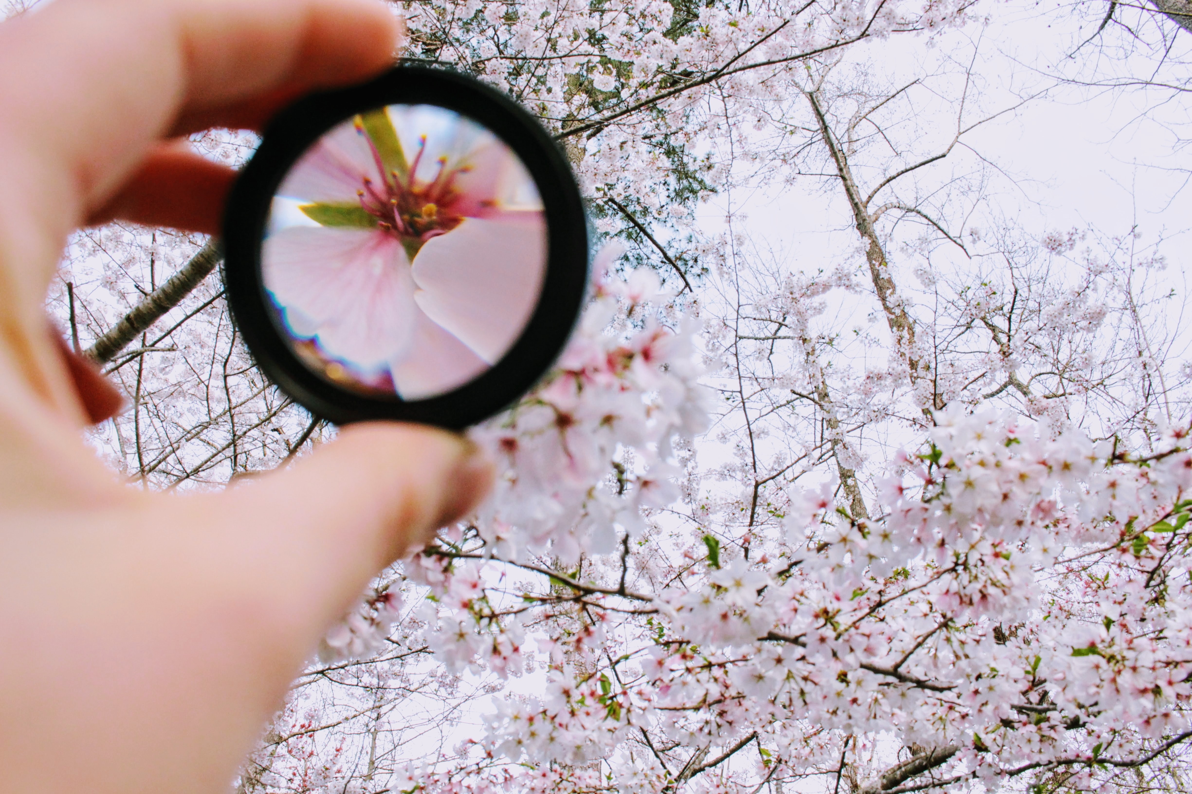 6 Healthy Habits That Will Improve Your Focus