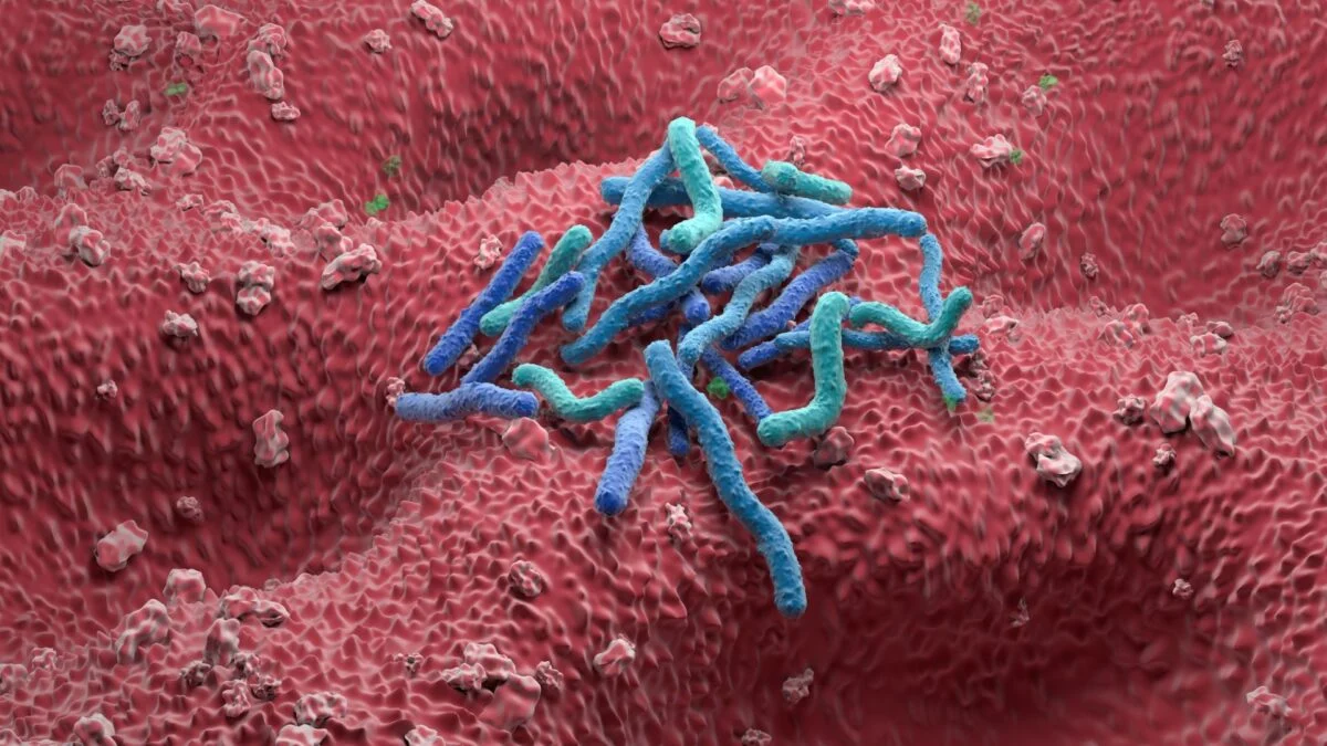 1 in 8 Cancers Are Caused by Infections. The Biggest Culprit Isn’t HPV