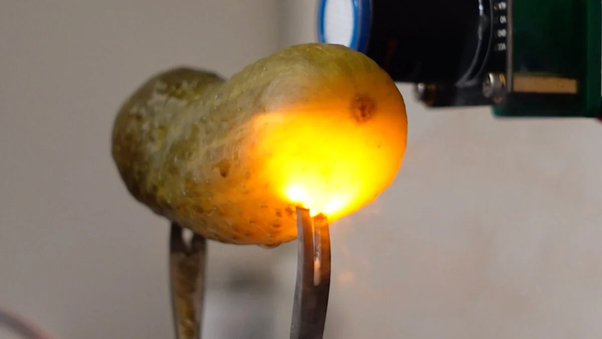 Why Pickles Light Up When You Electrocute Them