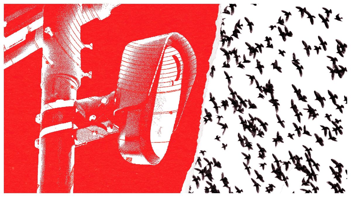 Cities Are Forced to Funnel License Plate Data to a Federal Surveillance Program