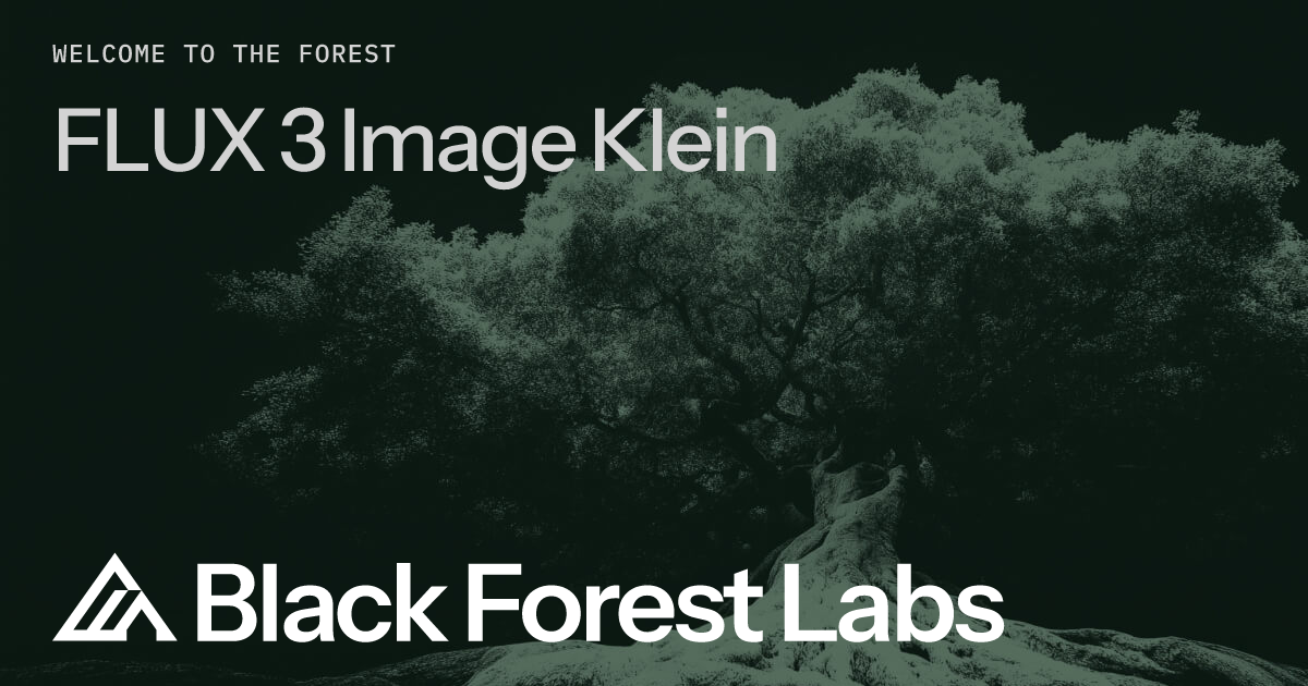 FLUX 3 Image Klein