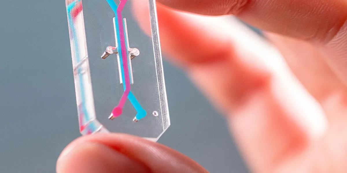 Tech to Replace Animal Testing Is Almost Ready. Scientists Are Not