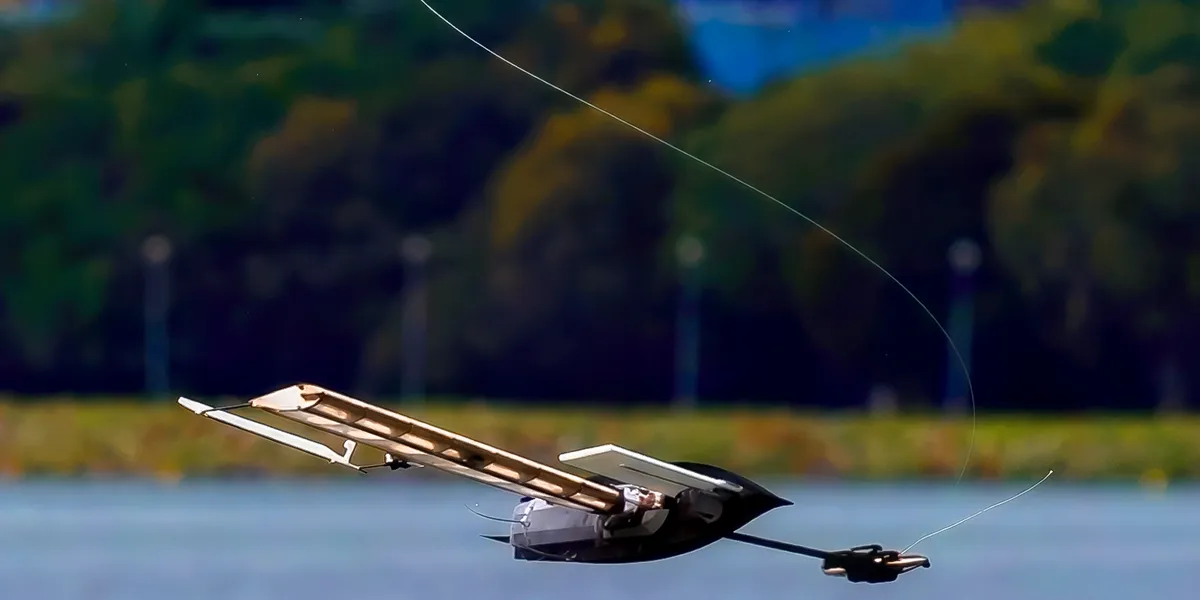 Video Friday: Albatross Falls, Spins, Self-Rights, and Sails Away