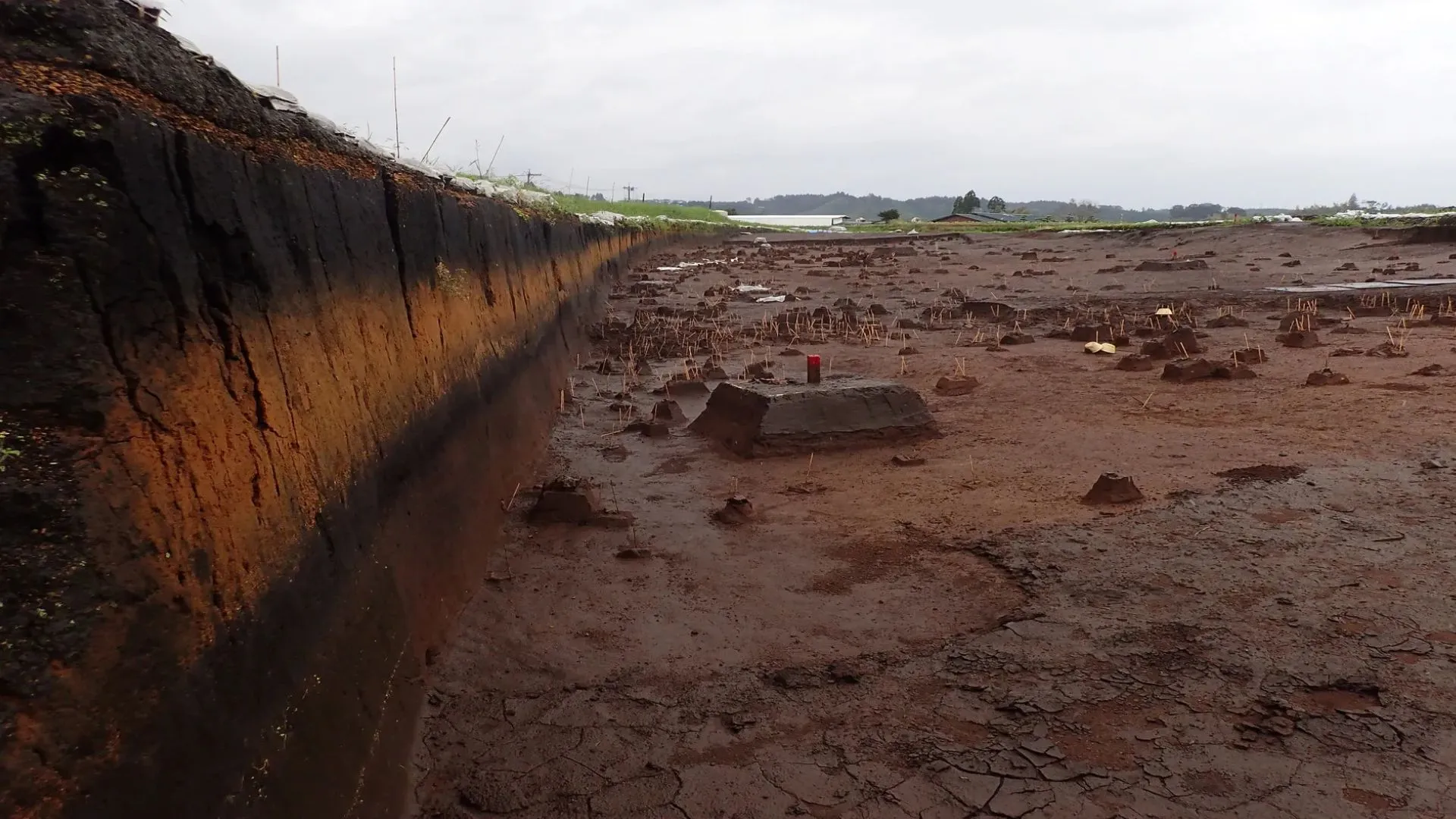 7,300-year-old supervolcanic blast caused local population collapse in Japan