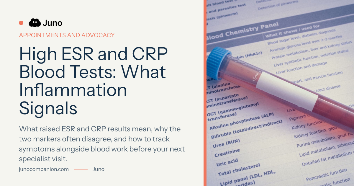 High ESR and CRP Blood Tests: What Inflammation Signals