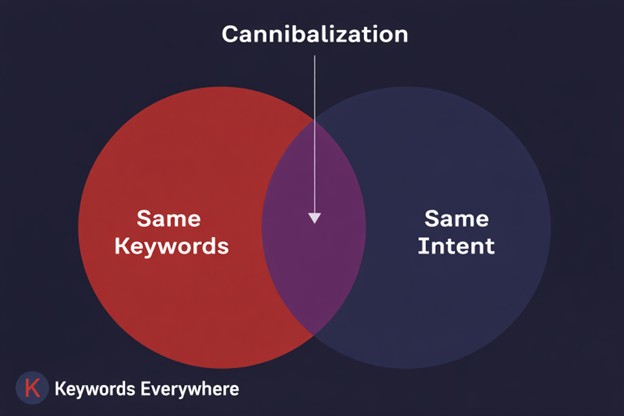 What Is Keyword Cannibalization? How to Find, Fix & Prevent It