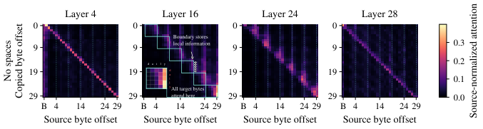 Byte Language Models: Scaling, Emergent Abstractions, and Information Allocation