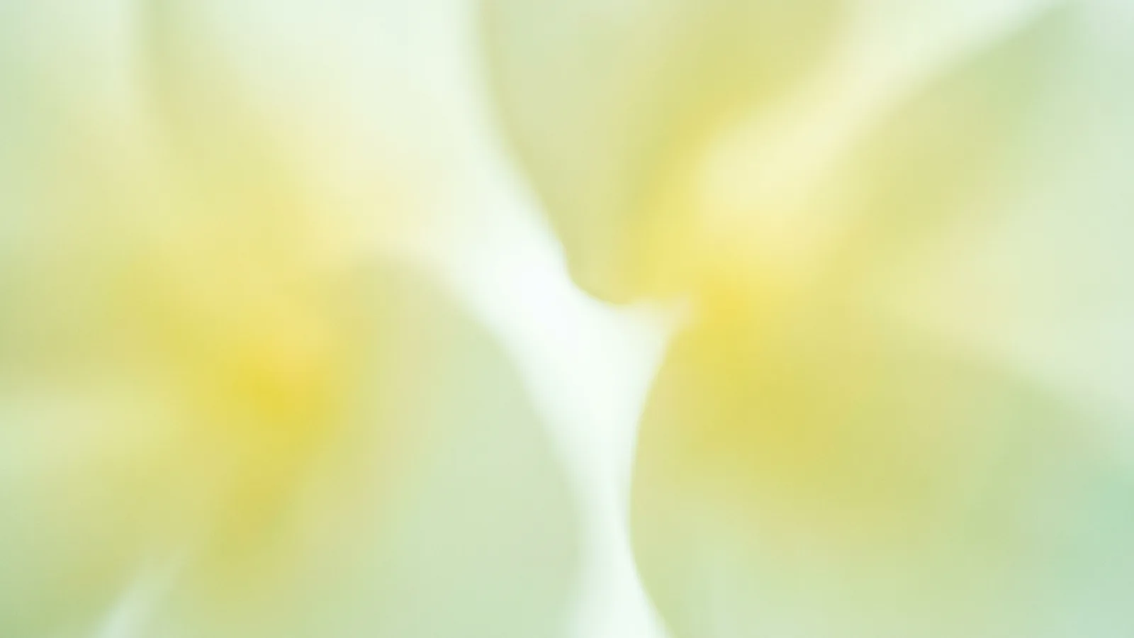 Nano Banana vs GPT Image: A Guide for DALL·E Users