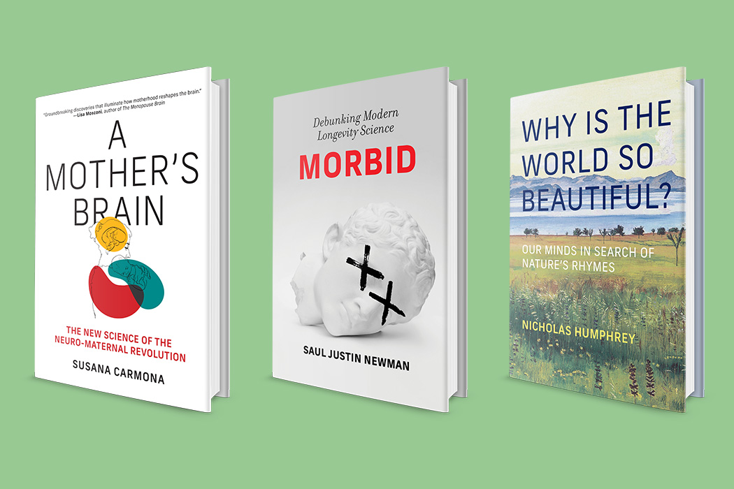 October 2026 books: A Mother’s Brain, Morbid, Why Is the World So Beautiful?, and more