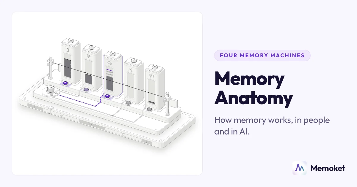 Memory Anatomy: How Memory Works, in People and in AI