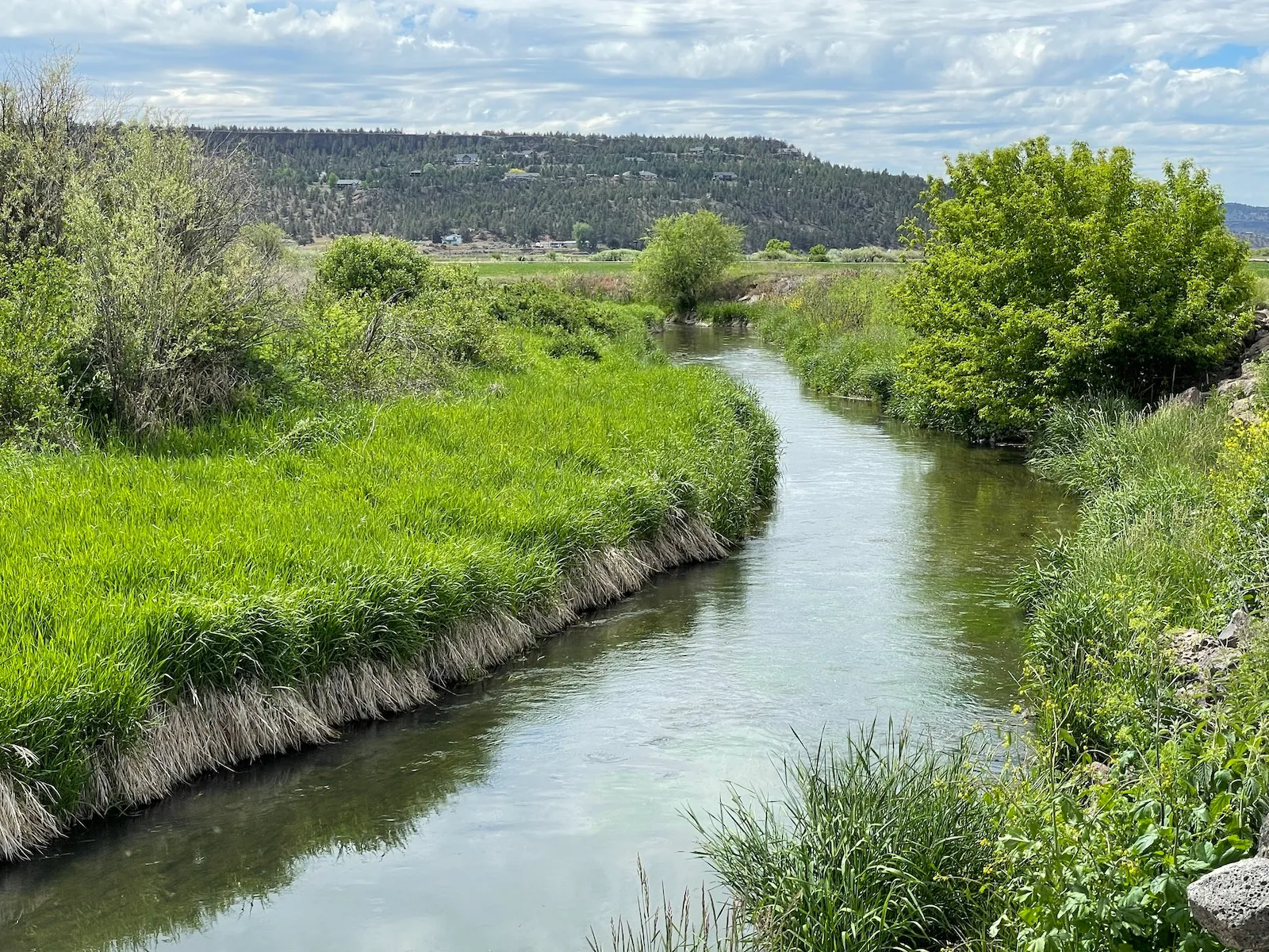 Two meta sustainability grant and scholarship recipients share impact