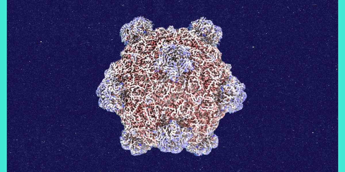 Roundtables: A Conversation With the Creator of AI-Designed Viruses