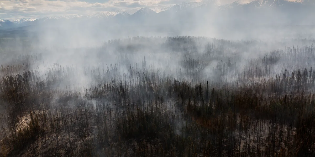 Inside the quest to combat Arctic fires and save the planet’s frozen carbon