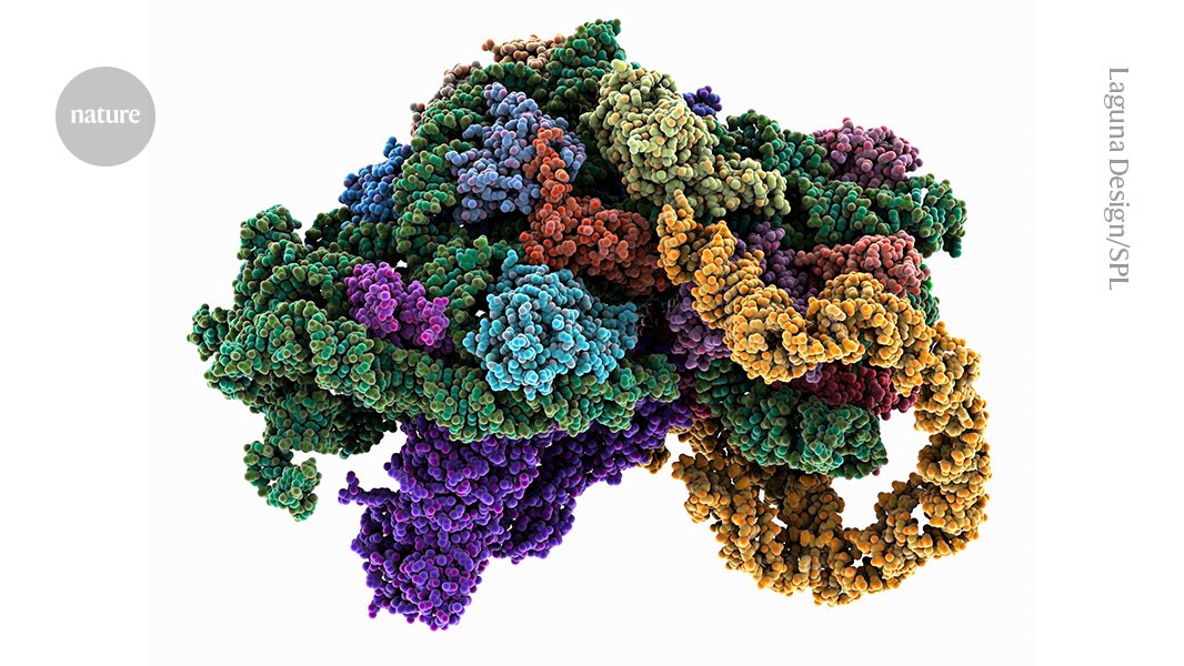 Cells, who needs them? Biochemists turn to proteins in a tube