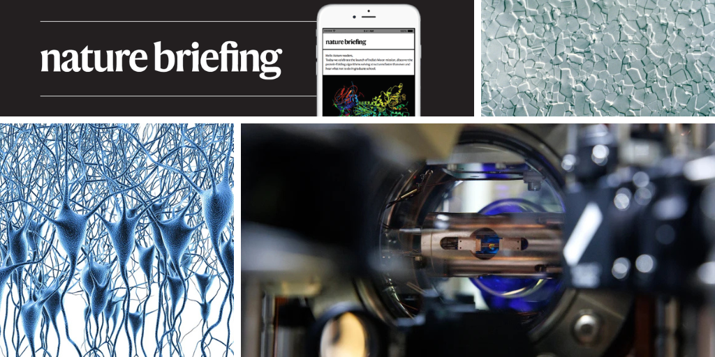 Daily briefing: Will AI really be the death of us all?