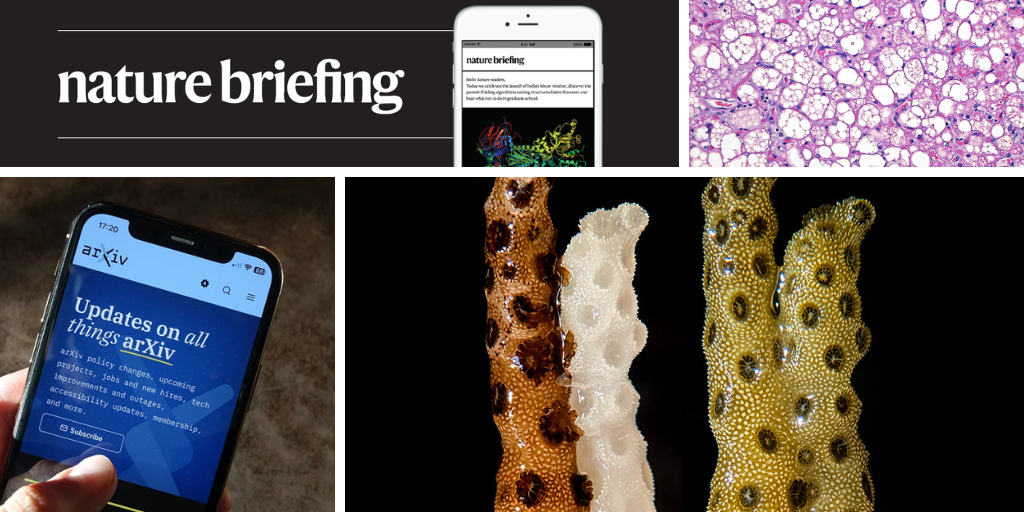 Daily briefing: Bleached corals revived by healthy neighbour’s touch