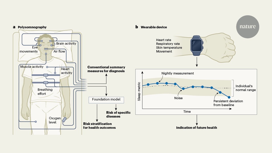 Hidden signals in sleep can predict future health