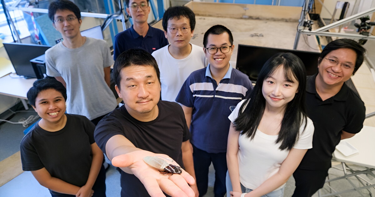 Cyborg cockroaches go amphibious ... thanks to a new diving suit