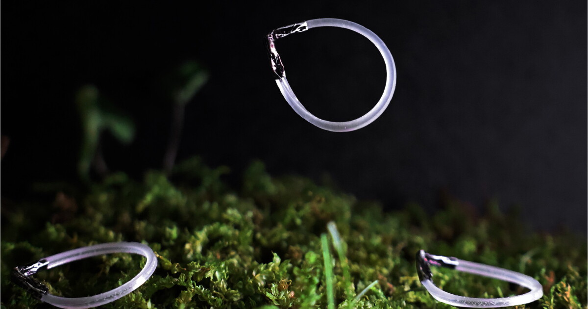 Wind-up elastic robot jumps forever when fed infrared light