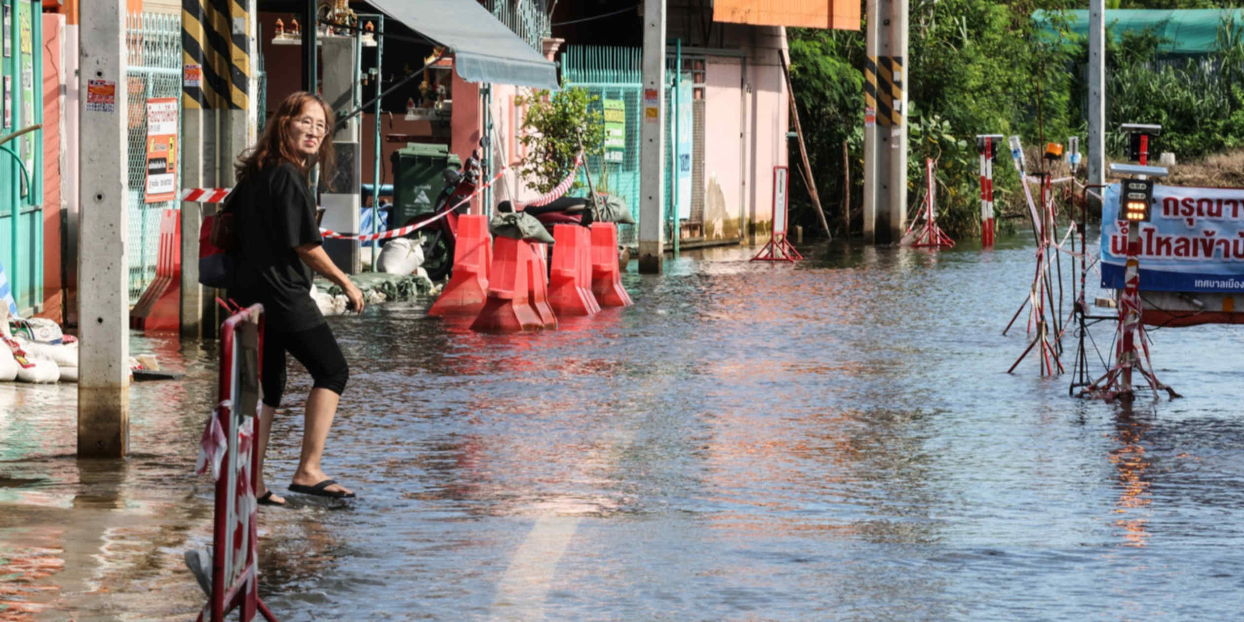 Thai floods become 'new normal' for Toyota, Honda and other carmakers