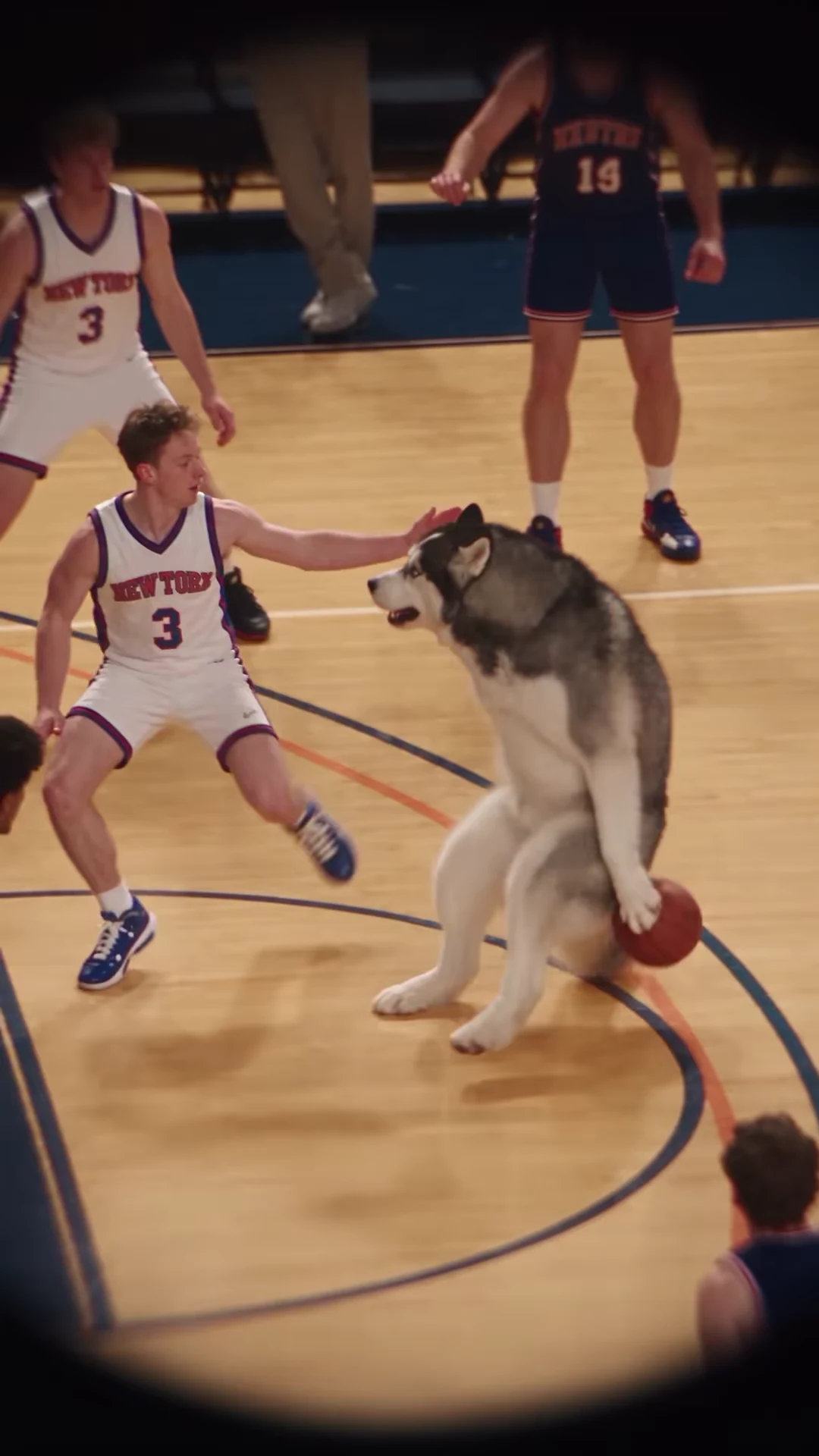 Basketball Dog Reel: JMSN Love Me, Source Clip and What Is Verified