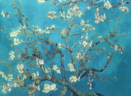 Why Van Gogh’s Flower Paintings Still Captivate Viewers