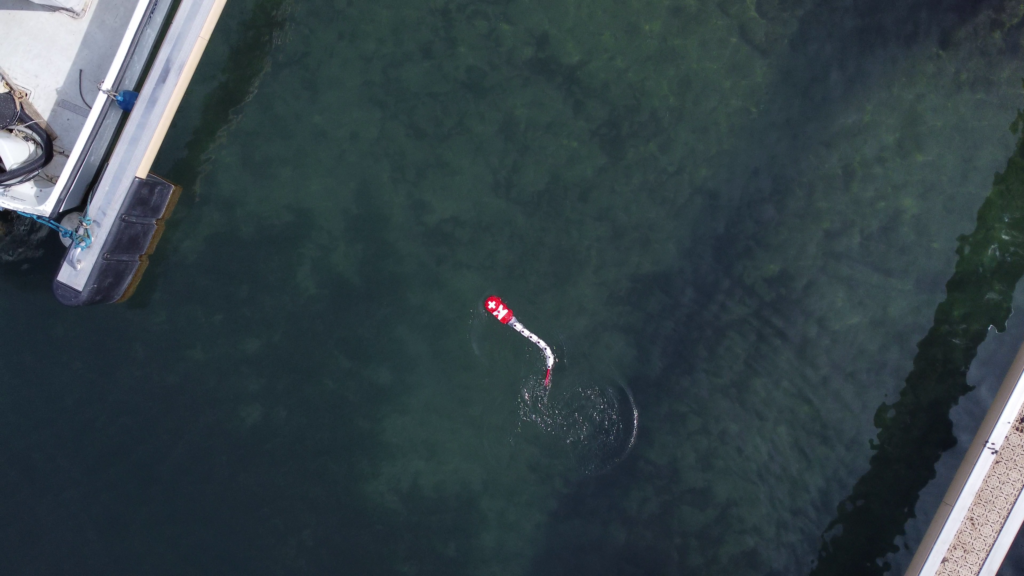 Intermittent swimming promotes the energy efficiency of fish-like robot movements