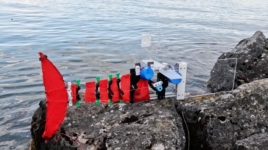 Small, medium or large, a robotic fish maintains its swimming ability