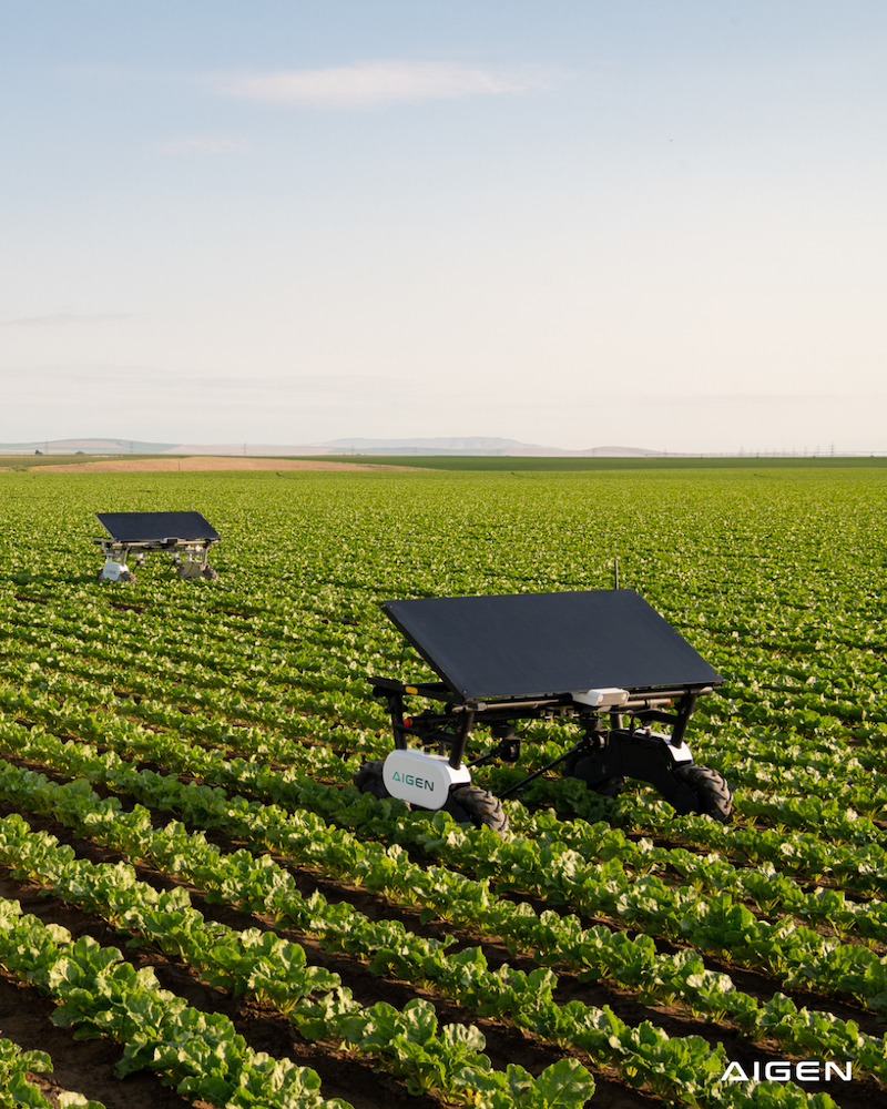 Aigen trains solar-powered farming robots for new crops in under a week