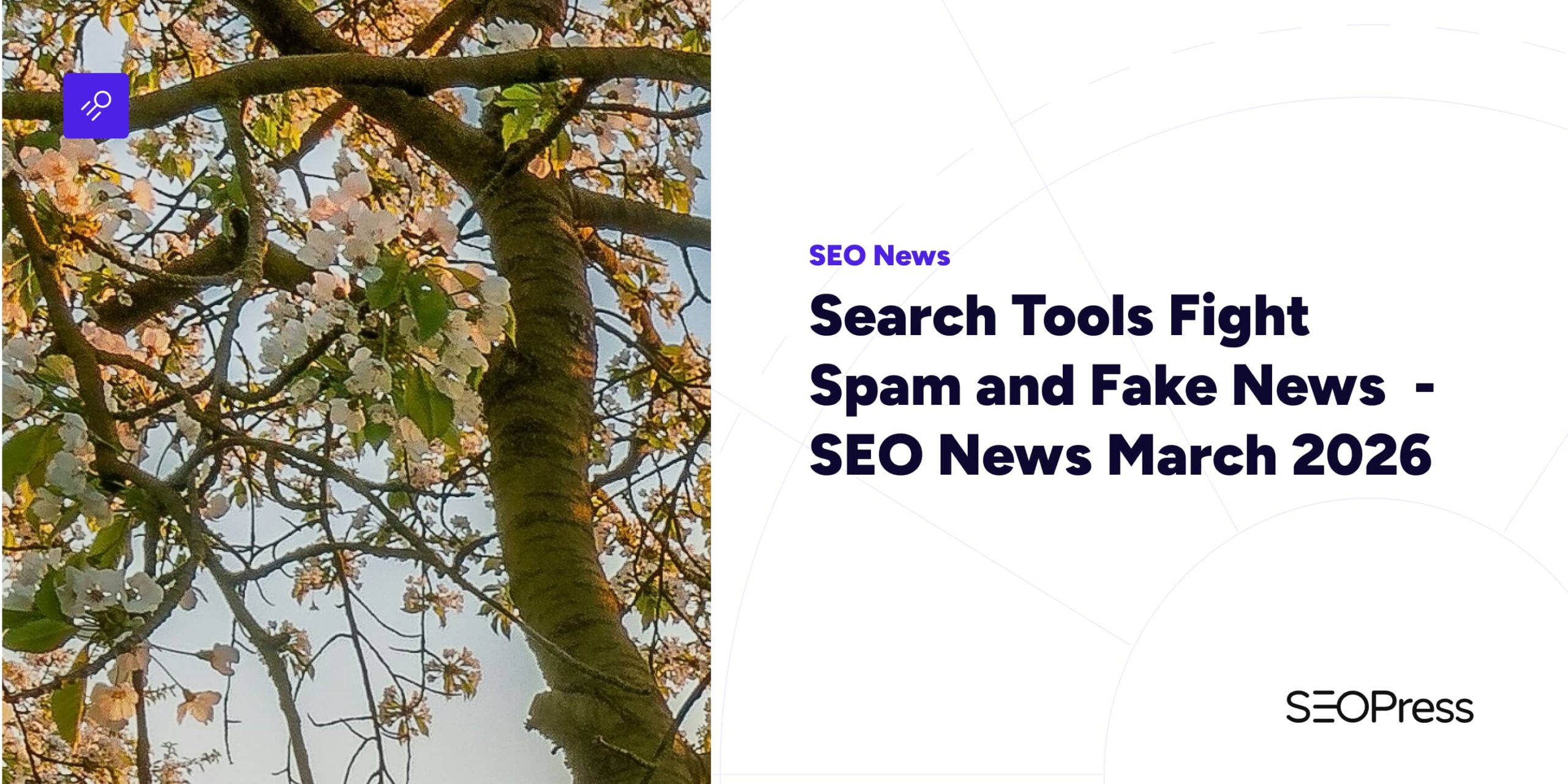 Search Tools Fight Spam and Fake News – SEO News March 2026