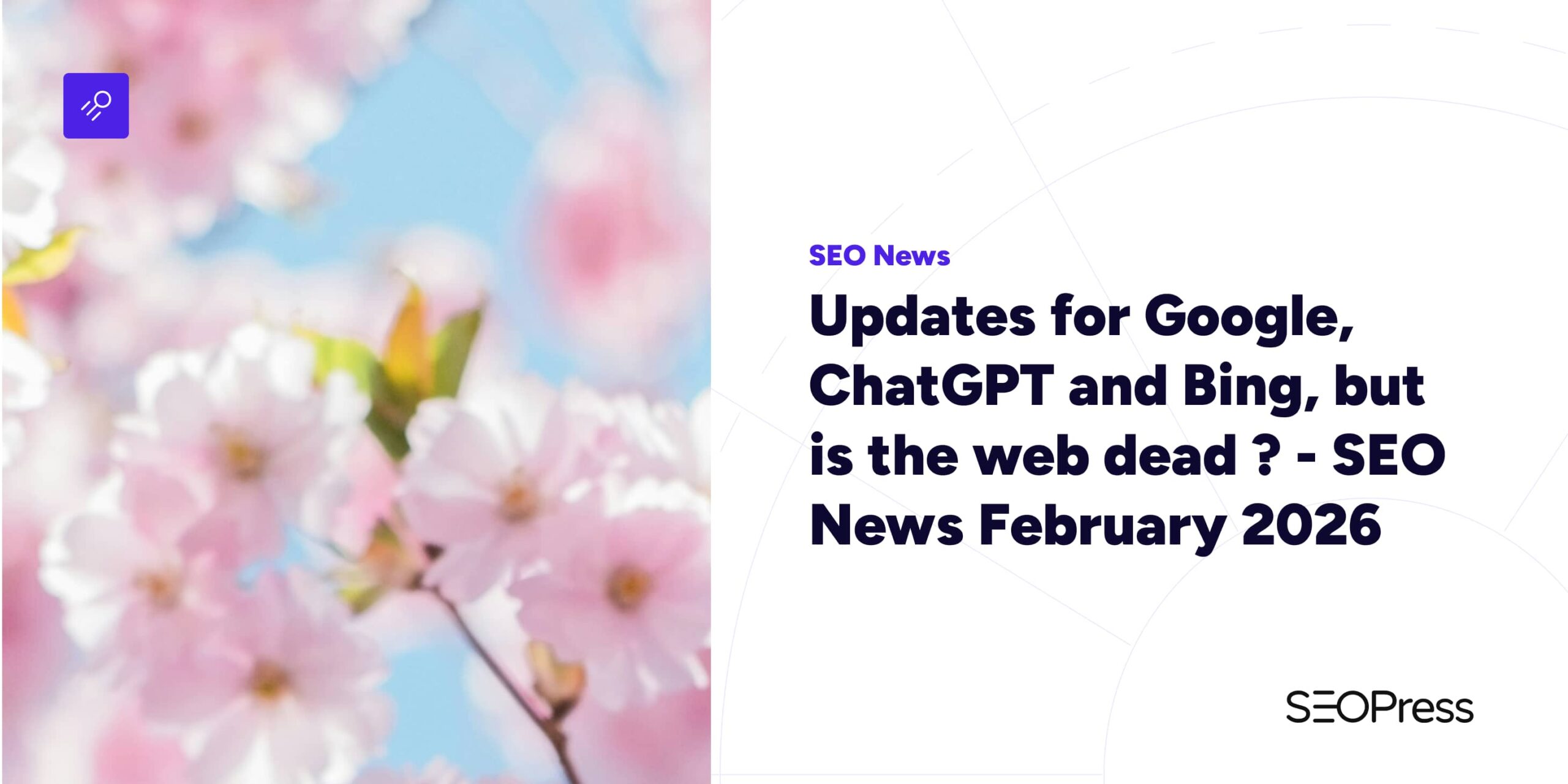 Updates for Google, ChatGPT and Bing, but is the web dead ? – SEO News February 2026