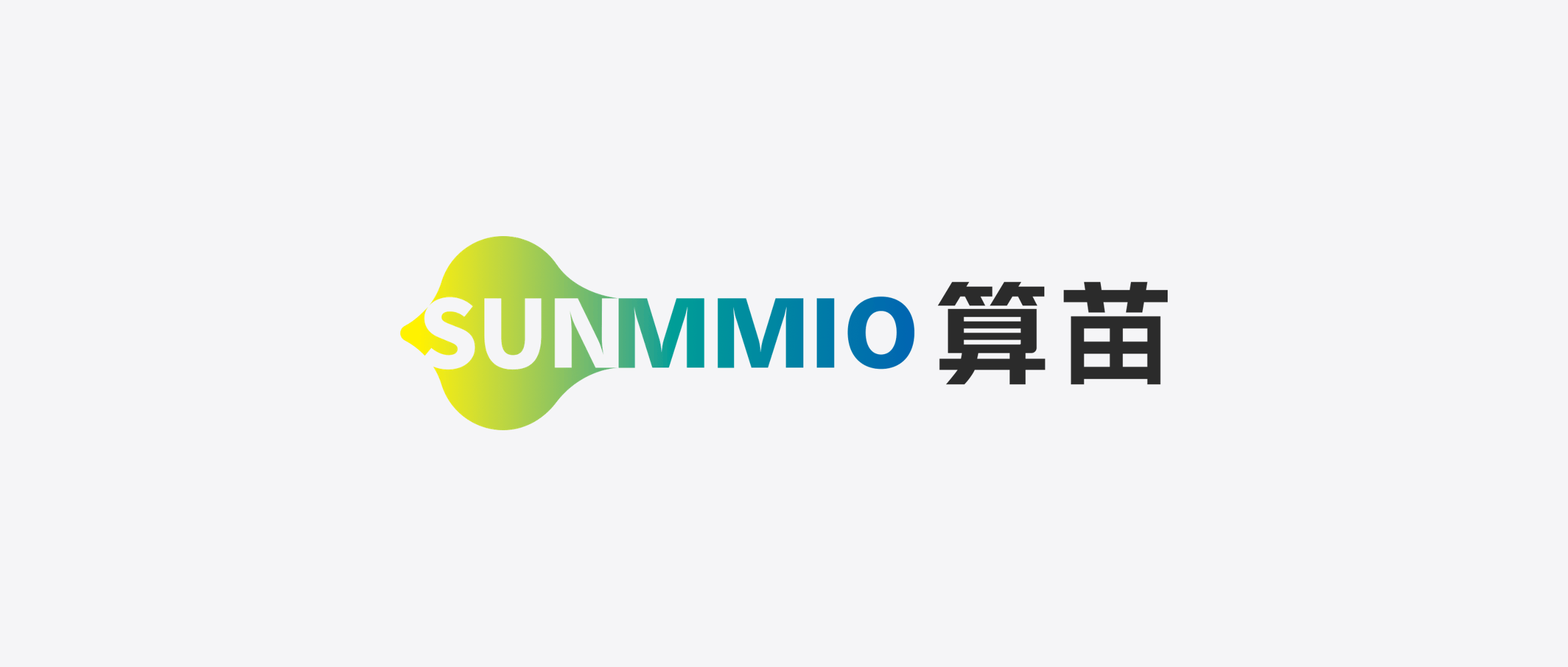 AI inference-chip startup SUNMMIO completes Pre-A2 and Series A funding
