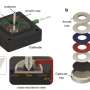 Scientists monitor the 'brittleness' of cathode in a working lithium battery in real time