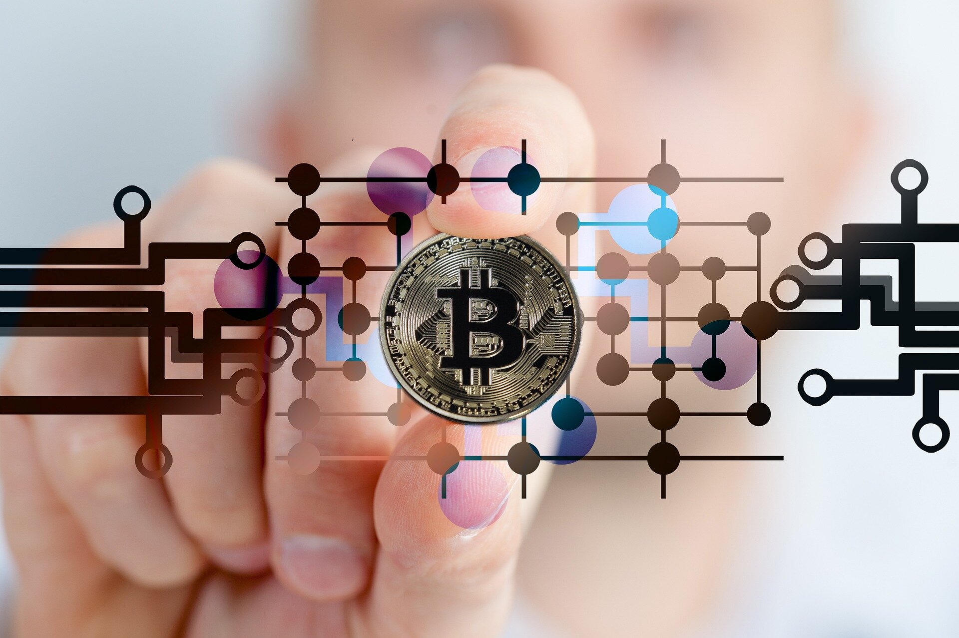 Expert examines what drives cryptocurrency returns
