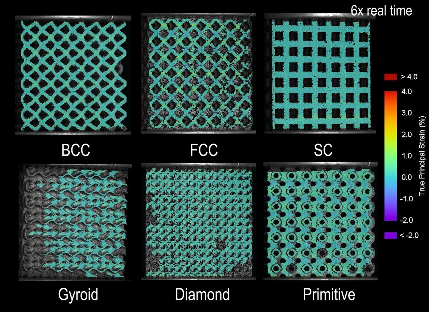 Bone meets tendon: 3D-printed structures mimic body's compact link between stiff and flexible tissues
