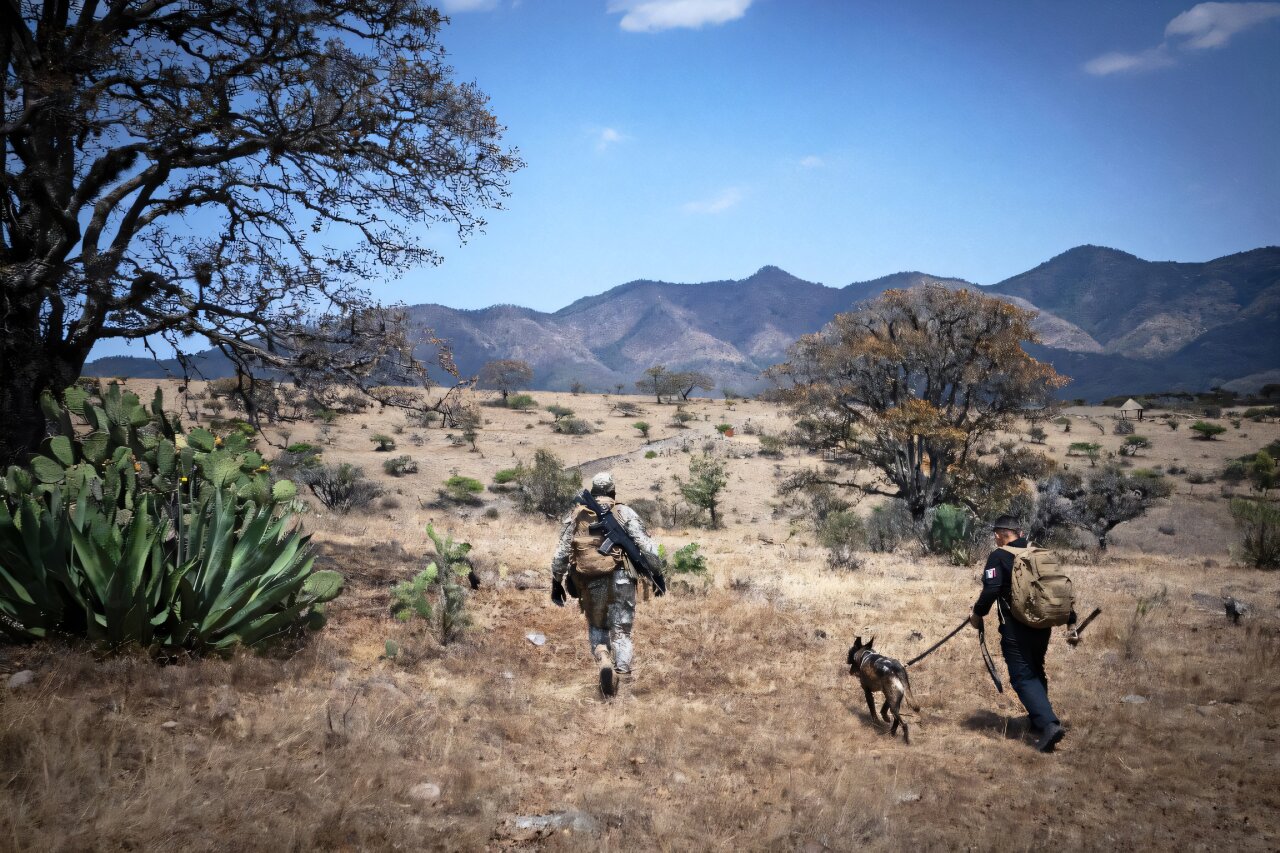 Using AI to help find Mexico's legions of missing children