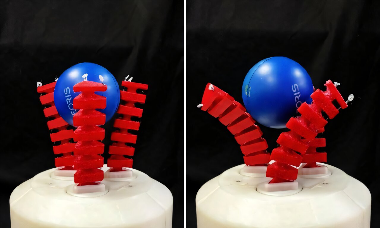 Rubber ducks and screwdrivers put dexterous new soft robotic gripper to the test
