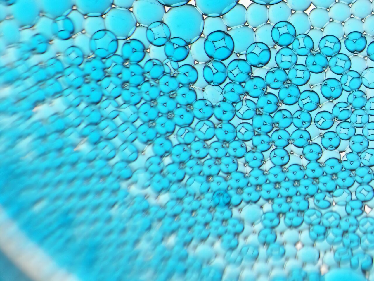 Tiny droplets form soft networks for brain-inspired computing