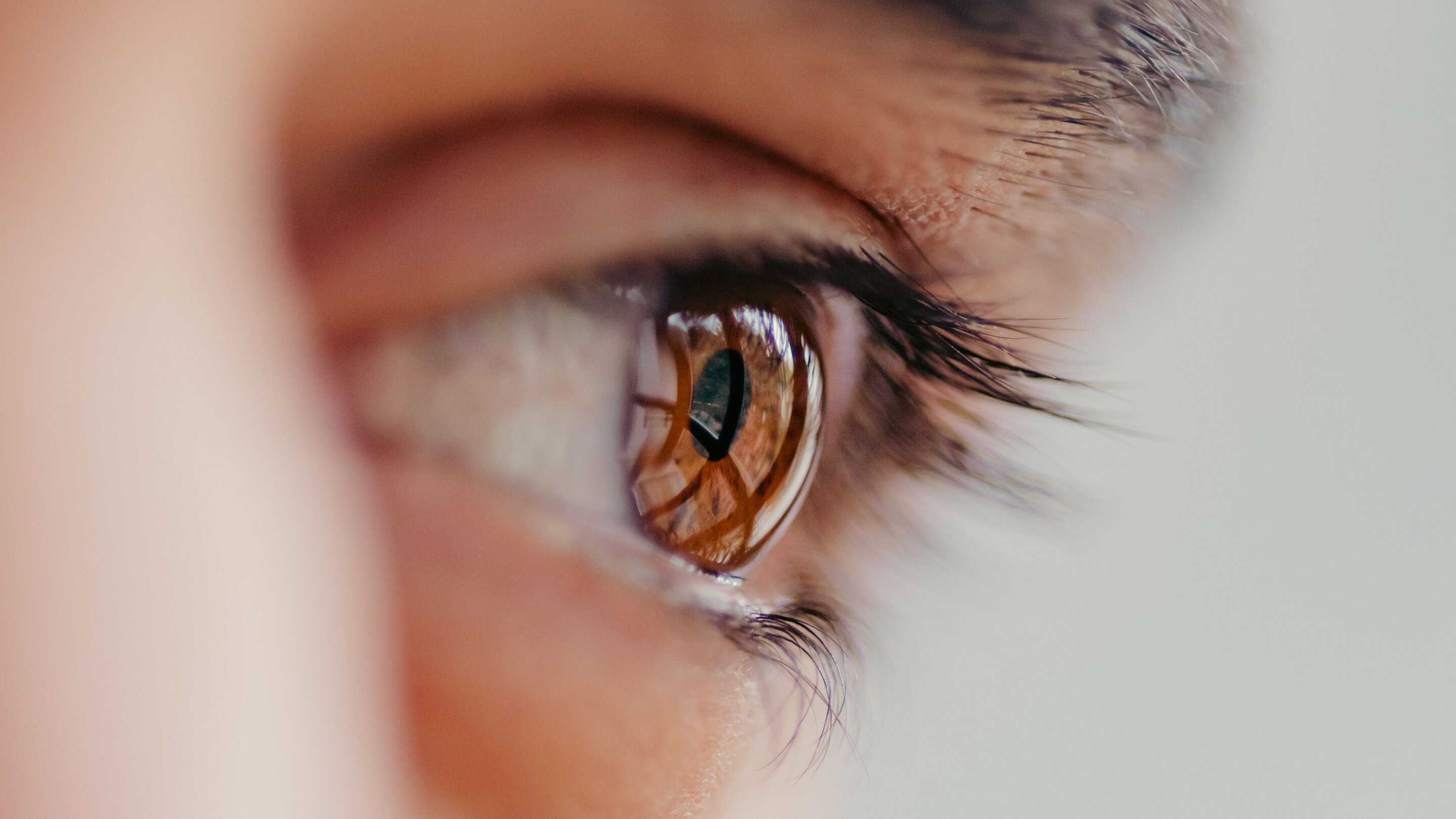 Visual illusion reveals what today's AI vision is missing